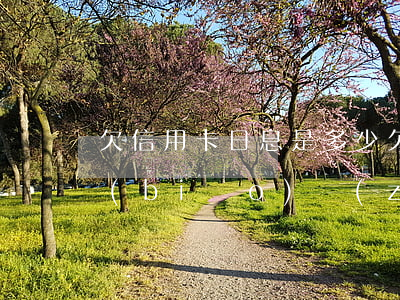 欠信用卡日息是多少(欠信用卡多少錢入刑標(biāo)準(zhǔn))