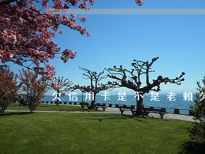 欠信用卡是不是老賴(欠信用卡是不是老賴了)