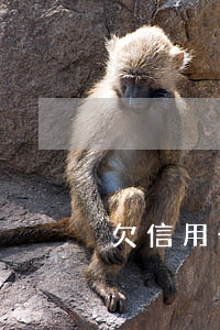 欠信用卡是否用子女還