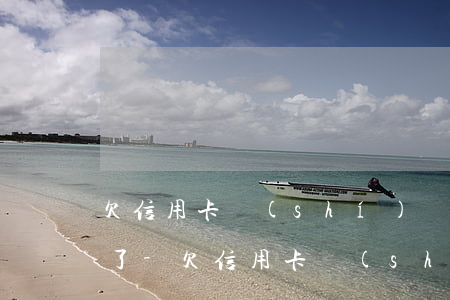 欠信用卡時(shí)間長了最少都怎么辦了-欠信用卡時(shí)間長了最少都怎么辦了呢