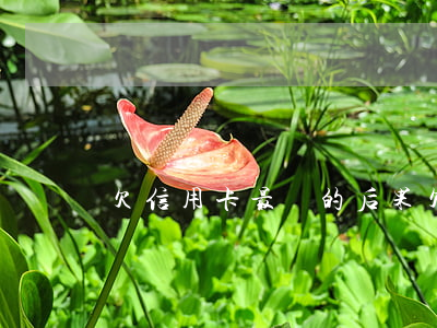 欠信用卡最壞的后果 欠信用卡欠