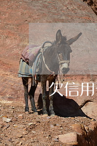 欠信用卡最多 欠信用卡最多的人是谁
