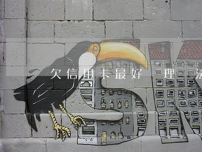 欠信用卡最好處理辦法(欠信用卡的)