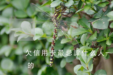 欠信用卡最忌諱什么人-欠信用卡的錢最慘的