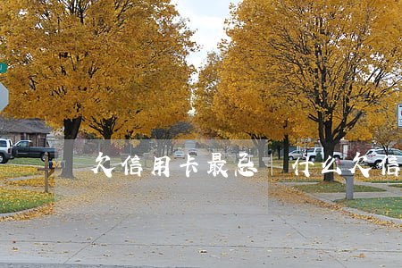 欠信用卡最忌諱什么(欠信用卡的)
