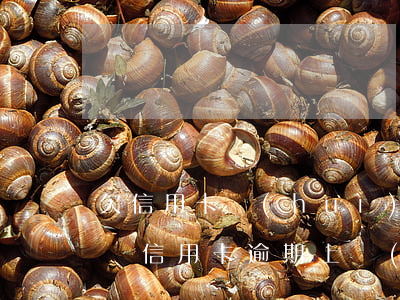 欠信用卡會(huì)上門(mén)取證嗎（信用卡逾期上門(mén)取證后讓我簽字）