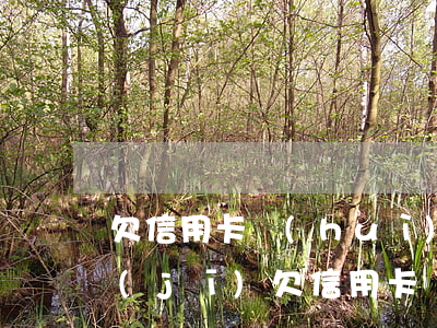 欠信用卡會(huì)不會(huì)停機(jī) 欠信用卡會(huì)封銀行卡嗎