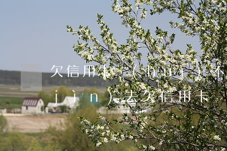 欠信用卡會(huì)不會(huì)進(jìn)去(欠信用卡會(huì)進(jìn)監(jiān)獄嗎)