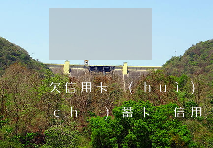 欠信用卡會(huì)凍結(jié)儲(chǔ)蓄卡嗎（信用卡逾期爸媽儲(chǔ)蓄卡會(huì)被凍結(jié)嗎）
