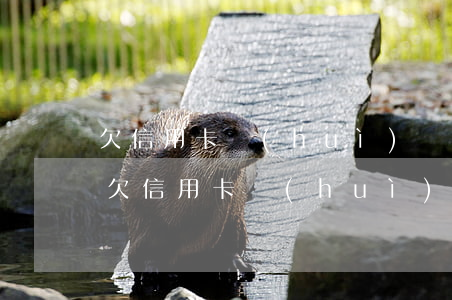 欠信用卡會(huì)凍結(jié)兒女 欠信用卡會(huì)凍結(jié)家人的財(cái)產(chǎn)嗎