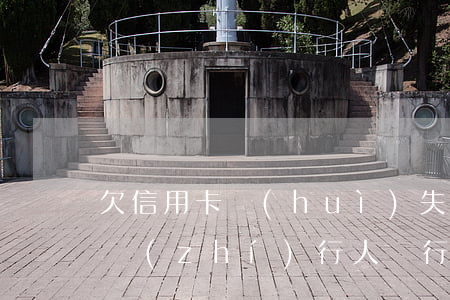 欠信用卡會(huì)失信(欠信用卡失信被執(zhí)行人銀行卡有錢會(huì)被劃走嗎)