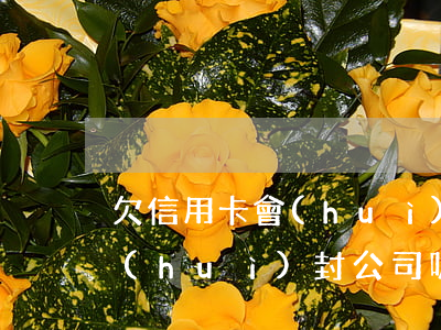 欠信用卡會(huì)封公司嗎 欠信用卡會(huì)封公司嗎怎么辦