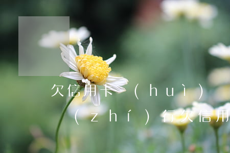 欠信用卡會(huì)強(qiáng)制執(zhí)行(欠信用卡會(huì)強(qiáng)制執(zhí)行房產(chǎn)嗎)