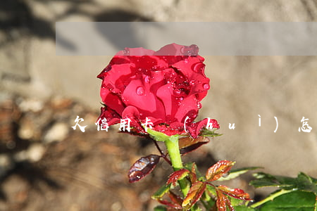 欠信用卡會(huì)怎么樣（欠信用卡命一條）