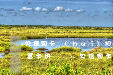 欠信用卡會(huì)扣其他儲(chǔ)蓄卡的錢嗎-欠信用卡會(huì)扣其他儲(chǔ)蓄卡的錢嗎怎么辦