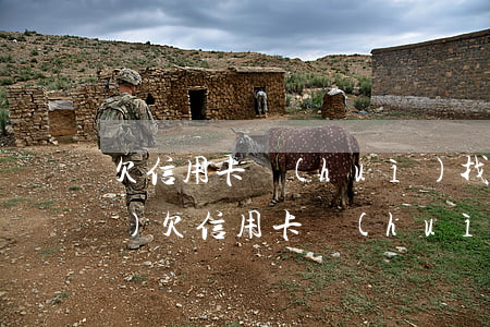 欠信用卡會(huì)找到公司來(lái)(欠信用卡會(huì)找到公司來(lái)還款嗎)