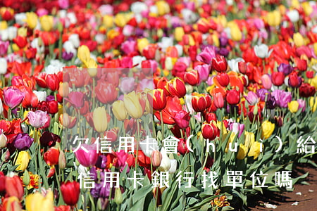 欠信用卡會(huì)給單位都打電話嗎（欠信用卡銀行找單位嗎）