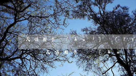 欠信用卡會(huì)聯(lián)名起訴嗎(欠信用卡錢會(huì)連累家人嗎)