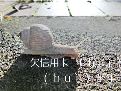 欠信用卡會(huì)被判死刑嗎(欠信用卡會(huì)坐牢嗎?會(huì)判多久)