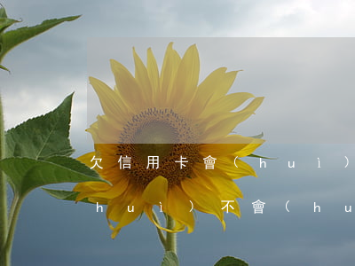 欠信用卡會(huì)被失信(欠信用卡會(huì)不會(huì)被變成失信人)