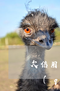 欠信用卡會(huì)被通輯嗎(欠信用卡的錢(qián)會(huì)爆通訊錄嗎)