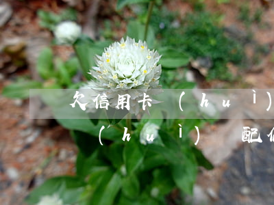 欠信用卡會(huì)讓配偶還嗎(欠信用卡會(huì)讓配偶還嗎)