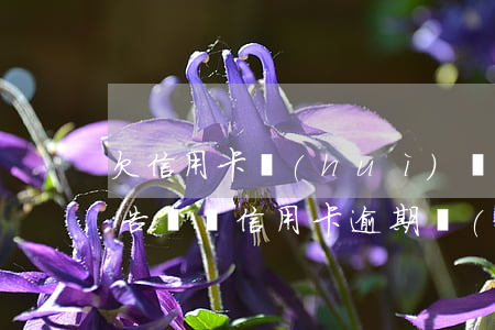 欠信用卡會(huì)貼到小區(qū)公告欄嗎（信用卡逾期會(huì)貼到村委會(huì)門口嗎）