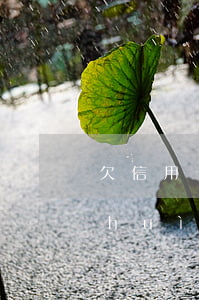 欠信用卡會(huì)限行嗎?(欠信用卡會(huì)限行嗎?)