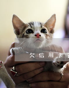 欠信用卡會上門(信用卡逾期多久會上門)