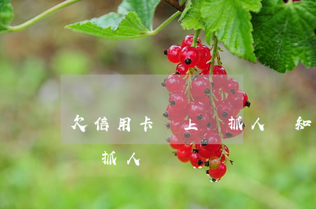 欠信用卡會上門抓人嗎知乎(欠信用卡錢會上門抓人嗎)