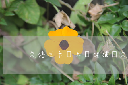 欠信用卡會上門逮捕嗎(欠信用卡會不會上門)