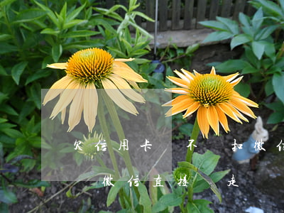 欠信用卡會不會扣微信(欠信用卡的錢會不會從微信直接劃走)