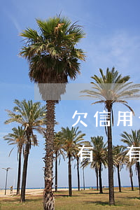 欠信用卡會來家里嗎（自己信用卡逾期跟家里有沒有影響）