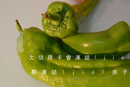 欠信用卡會凍結(jié)房子嗎（信用卡逾期凍結(jié)房子嗎）