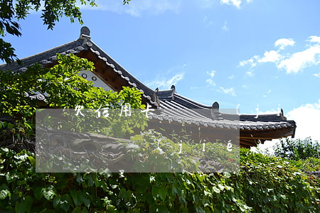欠信用卡會凍結(jié)賬號嗎(欠信用卡會凍結(jié)賬號嗎安全嗎)