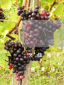 欠信用卡會凍結(jié)銀行卡(欠信用卡會凍結(jié)銀行卡里的錢嗎)