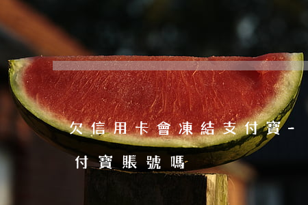 欠信用卡會凍結支付寶-欠信用卡會凍結支付寶賬號嗎