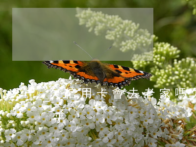 欠信用卡會去老家嗎(欠信用卡會去老家嗎知乎)
