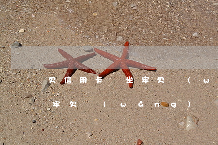欠信用卡會坐牢欠網(wǎng)貸不會坐牢(欠網(wǎng)貸會不會影響信用卡)