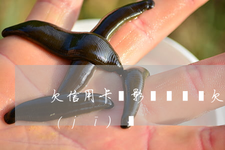 欠信用卡會影響簽證嗎(欠信用卡影響坐飛機(jī)嗎)