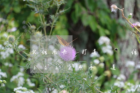 欠信用卡會打通訊錄嗎（信用卡逾期會聯(lián)系手機通訊錄嗎）