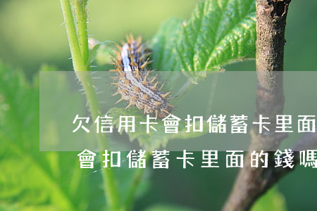 欠信用卡會扣儲蓄卡里面的錢嗎-欠信用卡會扣儲蓄卡里面的錢嗎怎么辦