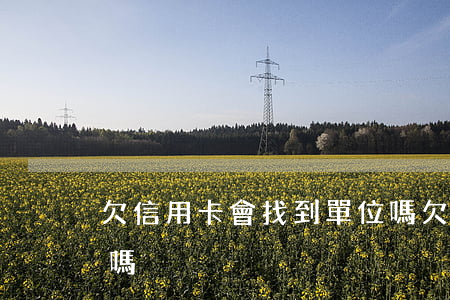 欠信用卡會找到單位嗎(欠信用卡會找到單位嗎)