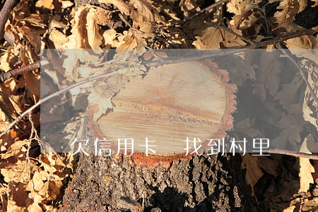 欠信用卡會找到村里嗎（農村打工欠信用卡）