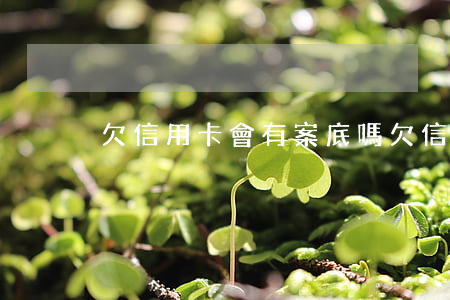 欠信用卡會有案底嗎（欠信用卡會查案底嗎）