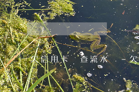 欠信用卡會查流水嗎-欠信用卡會留案底嗎