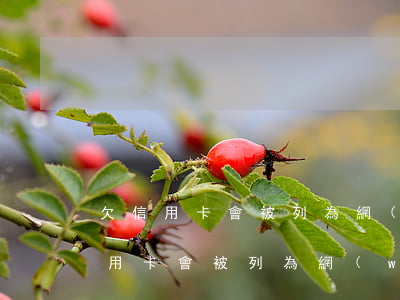 欠信用卡會被列為網(wǎng)逃-欠信用卡會被列為網(wǎng)逃人員嗎