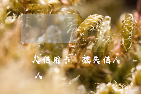 欠信用卡會被失信人嗎-欠信用卡會被失信人嗎