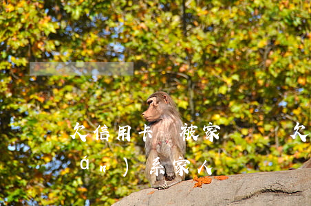 欠信用卡會被家訪嗎嗎(欠信用卡會聯(lián)系家人嗎)