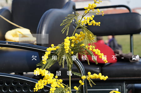 欠信用卡會被拘留不-欠信用卡的錢會被刑事拘留嗎